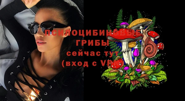 шишки Верея